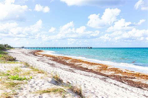 10 Best Beaches In Fort Lauderdale Which Fort Lauderdale Beach Is