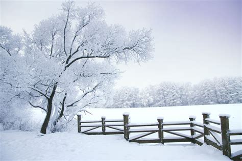 A Peaceful Winter Scene Winter Landscape Winter Wallpaper Winter Scenes