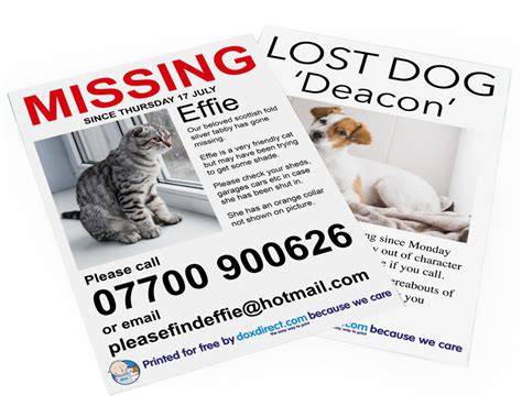 Missing cat reunites with his best friend. Free Missing Pet Posters | Doxdirect