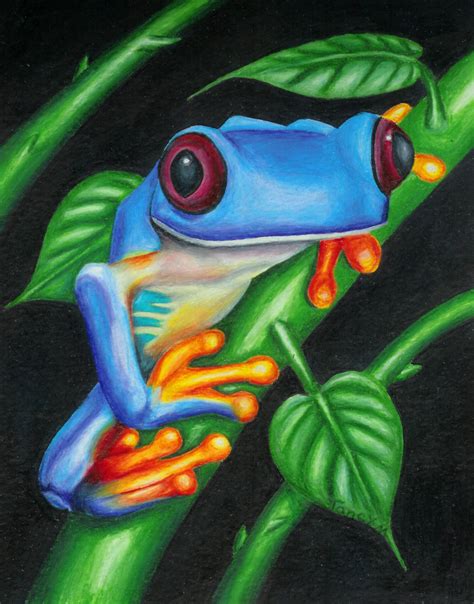 Here Is Another Frog People Seemed To Like The Other Ones So I Did