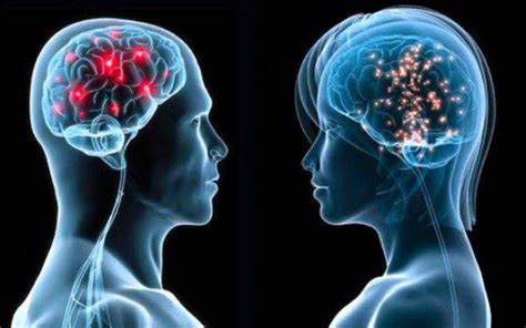 Male Vs Female Brain Differences Similarities And More Air Clinic
