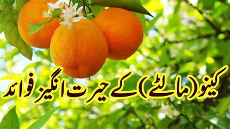 Benefits Of Oranges Health Benefits Of Orange Fruit Hindiurdu Bu