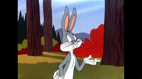 Metv To Celebrate Bugs Bunny Tv Grapevine