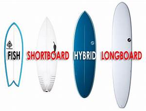 Surfboard Size Guide Design Dimension Volume