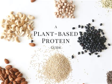 A Guide To Plant Based Proteins Live Simply Natural