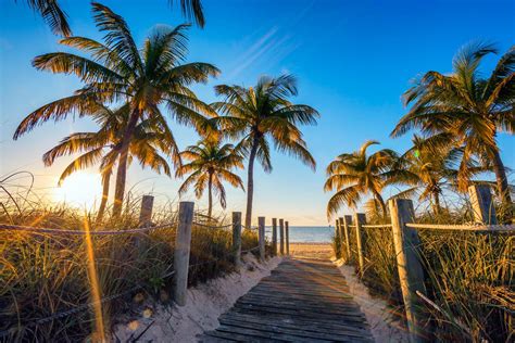Explore The Top 7 Things To Do In South Florida