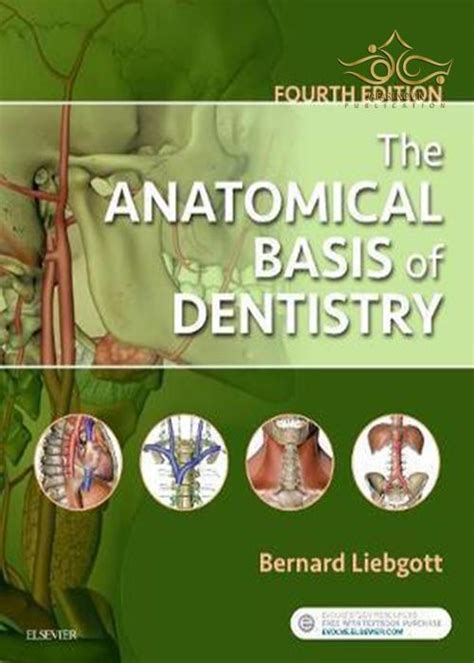 2018 The Anatomical Basis Of Dentistry 4th Edition کتاب مبانی آناتومیک