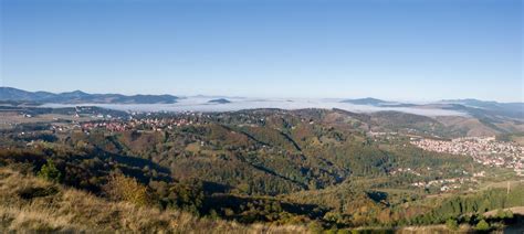 Panoramic View Of The Forested Zlatibor Mountain And Parts Of The