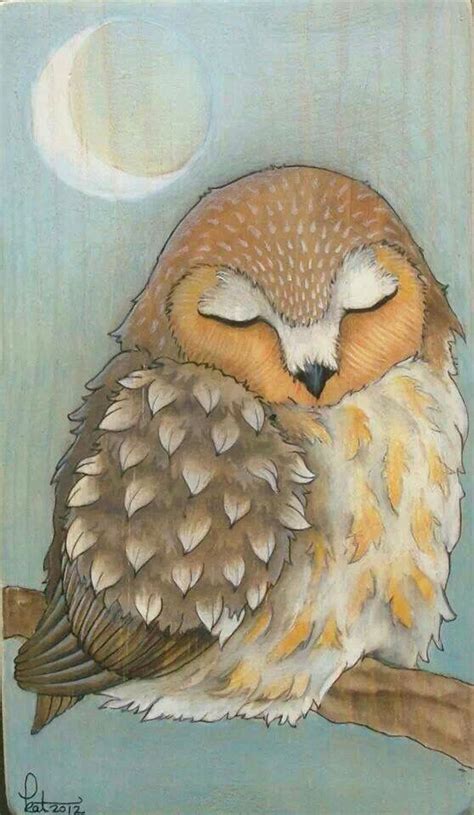 Sleepy Owl Art Owls Drawing Whimsical Owl