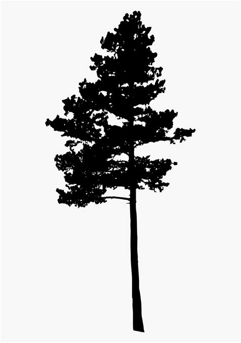 Clipart Pine Tree Silhouette Silhouette Picture