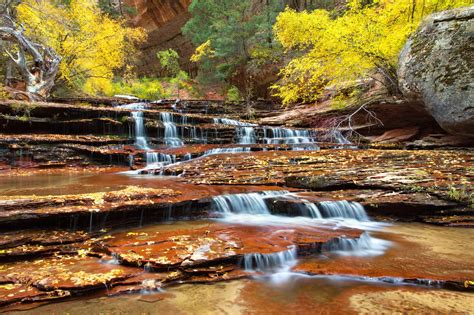 Zion National Park Utah Autumn River Wallpapers Hd Desktop And
