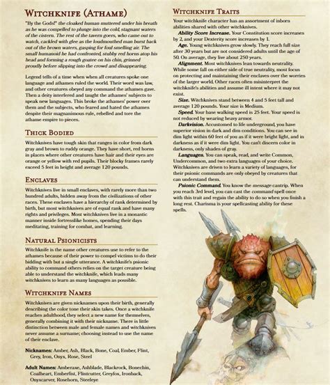 De 25 Bedste Idéer Inden For Dnd Races På Pinterest Dungeons And