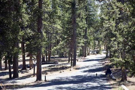 Norris Campground Information Map Pictures And Video Yellowstone