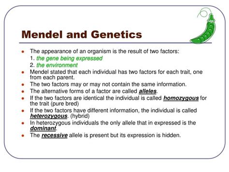 Ppt Mendel And Genetics Powerpoint Presentation Id3478590