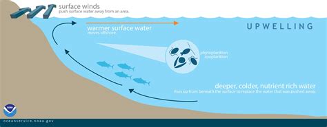 Understanding The 2017 2018 Florida Red Tide Ufifas Extension