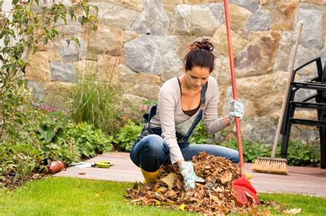Meine eltern arbeiten bis 4 uhr nachmittags und nach hause kommen bis 5 uhr. Lesen Sie hier, welche Arbeiten im Herbst im Garten ...