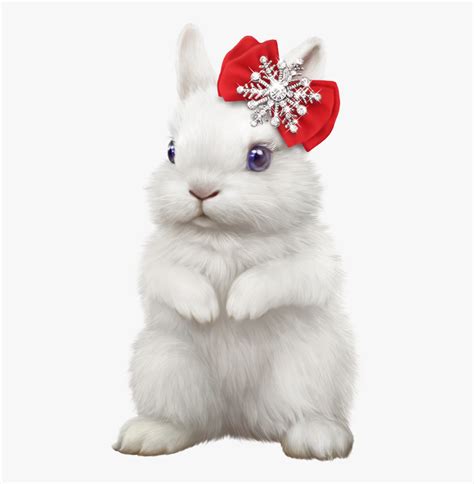 Clipart Christmas Bunny Free Transparent Clipart Clipartkey