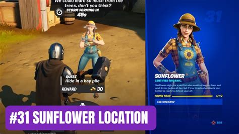 Sunflower Character Location 31 Fortnite Character Collection Youtube