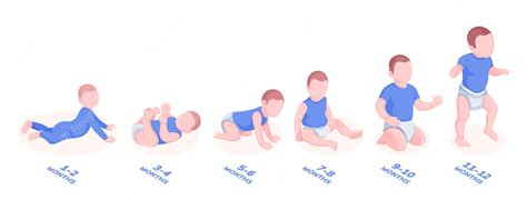 Conjunto De Etapas De Crecimiento De Bebés Varones Para El Primer Año