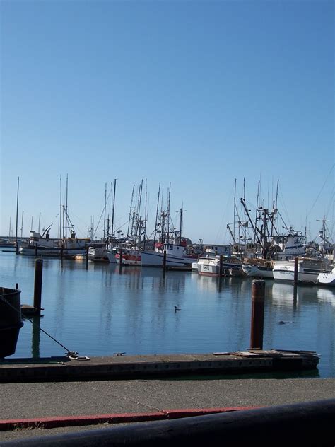 Crescent City Ca Harbor Before The Tsunami Of 2011 Float Your Boat