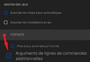 Vous Avez Été Retiré de la Partie Fortnite Interdiction IP