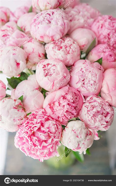 Beautiful Bouquet Of Pink Peonies Floral Composition Daylight