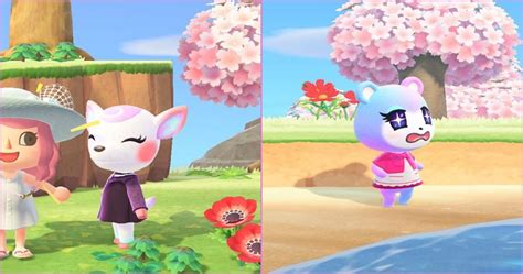 Animal Crossing New Horizons 10 Rarest Snooty Villagers Ranked