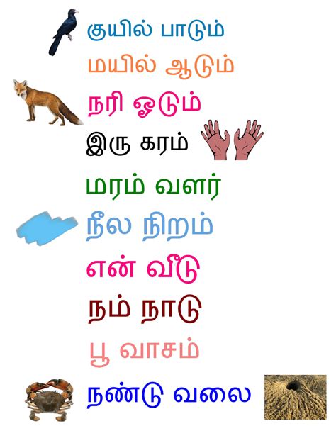 எளிய வரிகள் Easy To Read Tamil Sentences For Kids