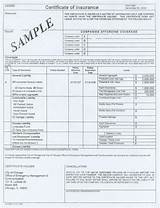 Pictures of Certificate Of Liability Insurance Sample