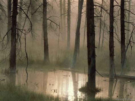 Maybe you would like to learn more about one of these? Pemandangan Hutan Ende | Photo
