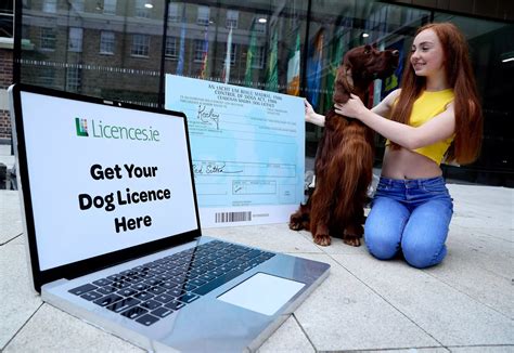 An Post Launch Online Dog Licence Service Dublin Live