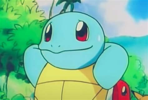Heres Why Squirtles Trending On Twitter Under Politics