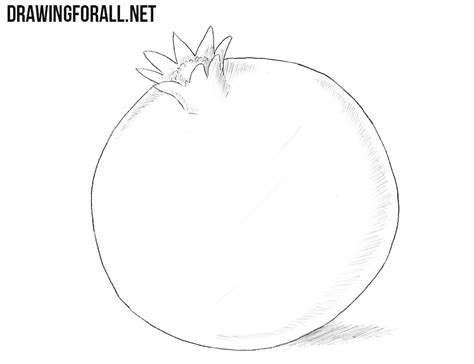 According to joseph, once you have the pomegranate lightly scored, you should use your fingers to separate the two sections and pull it apart. How to Draw a Pomegranate | Drawingforall.net