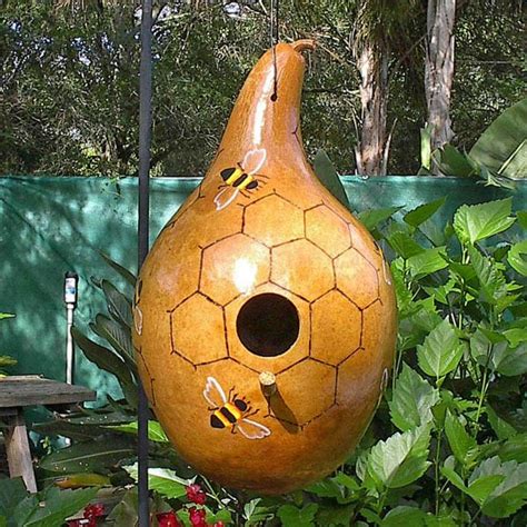 GOURD Birdhouse Gourds Australian Seed