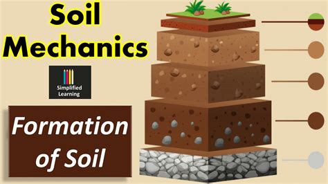 Soil Formation Processes Factors And Properties Explained Concepts