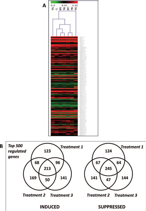 Graphic Representations Of Transcriptome Analysis Data A Heat Map Download Scientific