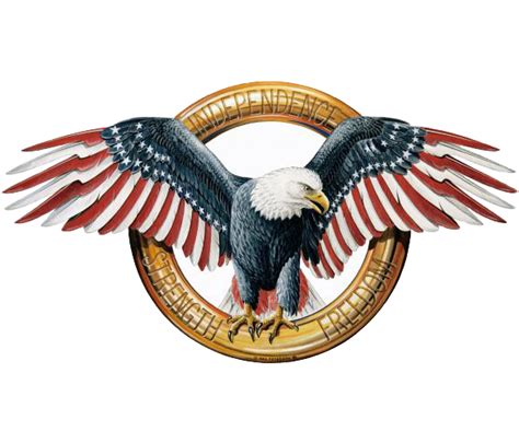 Download T Shirt Eagle American Bald Outfitters Free Clipart Hq Clipart