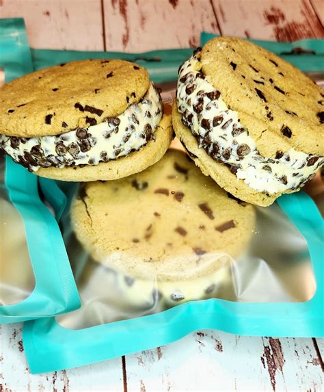 Freeze Dried Chocolate Chip Cookie Fudge Ribbon Ice Cream Sandwich Crafted Crunchies