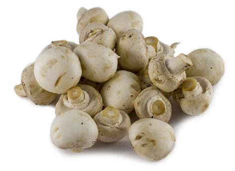 White Button Mushrooms 3 Packs The Fresh Supply Company