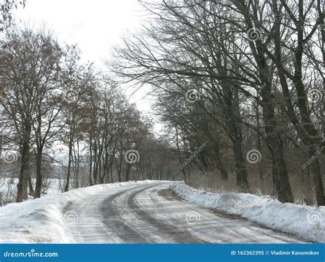 Winter Slippery Forest Road Stock Image Image Of White Forest 162362395
