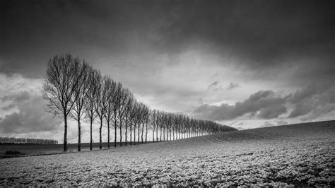 Above all, just make any image black and white to experience yourself. How to master black and white photography | TechRadar