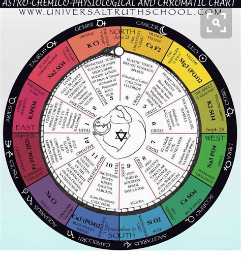 Whole Sign Astrology Chart