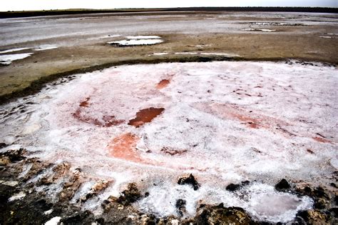Входит в состав федерального южного округа. Соленое озеро в Веселовке, Краснодарский край — свойства ...