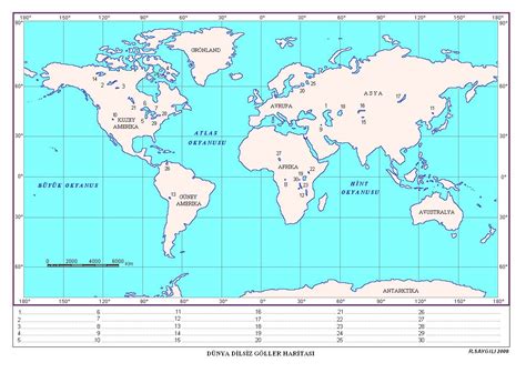 Dünya Dilsiz Haritası Doldurulmuş Hali WRHS