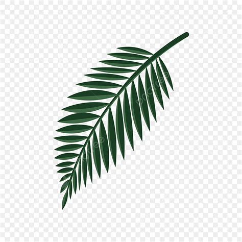 Tropical Palm Leaves Vector Png Images Vector Green Tropical Palm