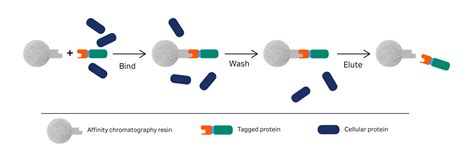 Tagged Protein Purification Cytiva