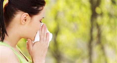 Identify The Signs Of Pollen Allergies