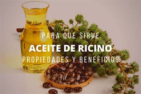 aceite de ricino [usos beneficios y propiedades] aceite de ricino aceite de ricino usos