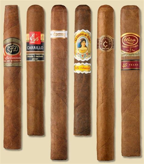 Top Cigar Brands Cigars Good Cigars Cigars And Whiskey