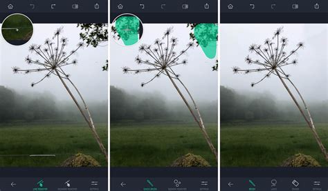 · free photoshop alternatives (windows, macos and linux) 1. Best Photoshop App For iPhone: Compare The Top 10 Photo ...